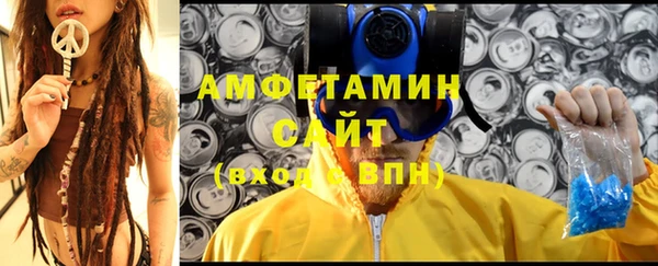 мет Алексин