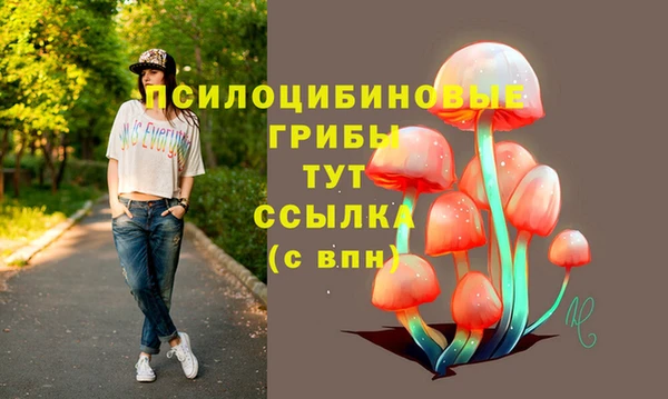гашишное масло Алексеевка