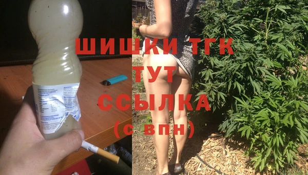 мет Алексин
