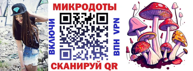 Галлюциногенные грибы Psilocybine cubensis  Новоалександровск 