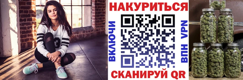 Конопля сатива  магазин продажи наркотиков  Новоалександровск 